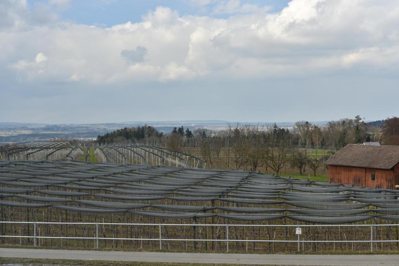 Gut Huegle Jugendzimmer Ravensburg Exteriör bild